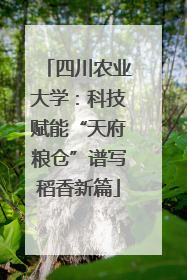 四川农业大学：科技赋能“天府粮仓”谱写稻香新篇