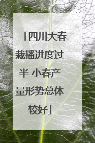 四川大春栽播进度过半 小春产量形势总体较好
