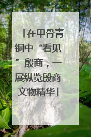 在甲骨青铜中“看见”殷商，一展纵览殷商文物精华