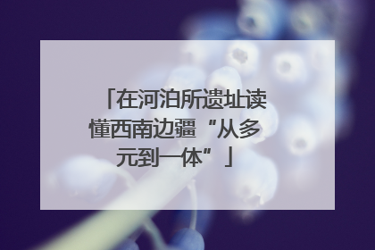 在河泊所遗址读懂西南边疆“从多元到一体”