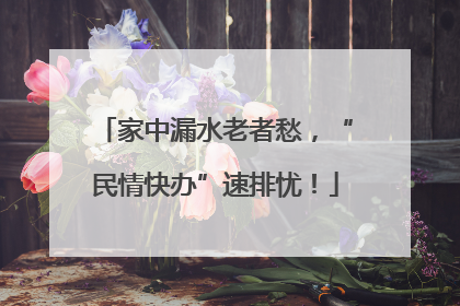 家中漏水老者愁，“民情快办”速排忧！