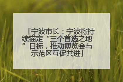宁波市长：宁波将持续锚定“三个首选之地”目标，推动博览会与示范区互促共进