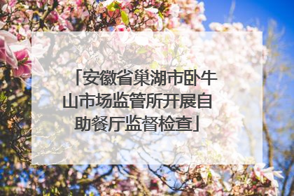安徽省巢湖市卧牛山市场监管所开展自助餐厅监督检查