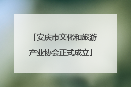 安庆市文化和旅游产业协会正式成立
