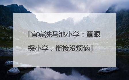 宜宾洗马池小学：童眼探小学，衔接没烦恼