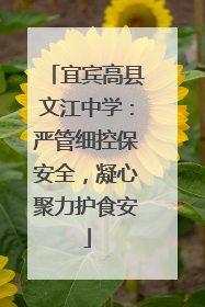 宜宾高县文江中学：严管细控保安全，凝心聚力护食安