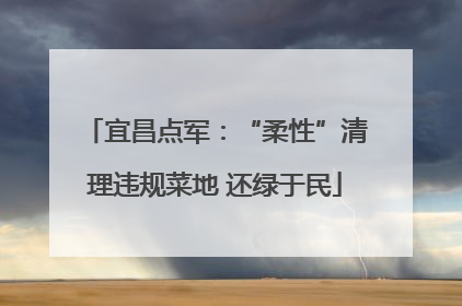 宜昌点军：“柔性”清理违规菜地 还绿于民