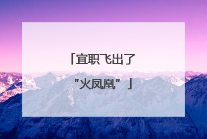 宜职飞出了“火凤凰”