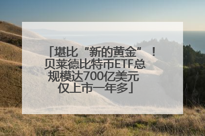 堪比“新的黄金”！贝莱德比特币ETF总规模达700亿美元 仅上市一年多