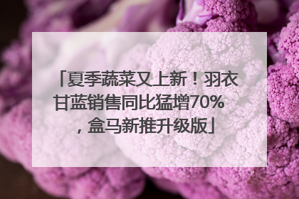 夏季蔬菜又上新！羽衣甘蓝销售同比猛增70%，盒马新推升级版