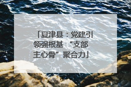 夏津县：党建引领强根基 “支部主心骨”聚合力