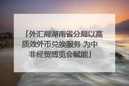 外汇局湖南省分局以高质效外币兑换服务 为中非经贸博览会赋能