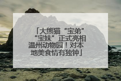 大熊猫“宝弟”“宝妹”正式亮相温州动物园！对本地美食情有独钟