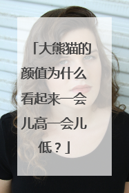 大熊猫的颜值为什么看起来一会儿高一会儿低？