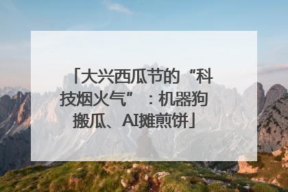 大兴西瓜节的“科技烟火气”：机器狗搬瓜、AI摊煎饼