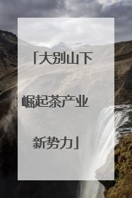 大别山下崛起茶产业新势力