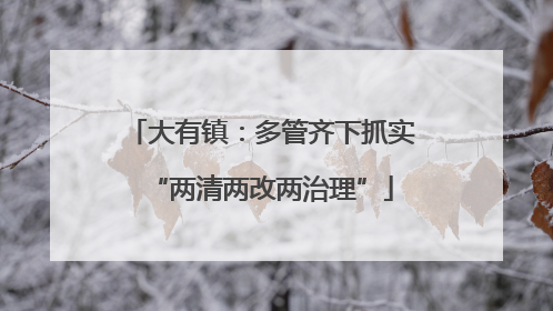 大有镇：多管齐下抓实“两清两改两治理”