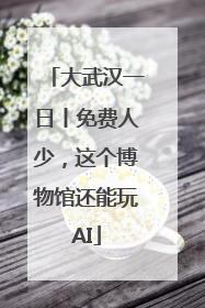 大武汉一日丨免费人少，这个博物馆还能玩AI