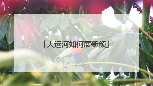 大运河如何展新颜