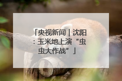 央视新闻｜沈阳：玉米地上演“虫虫大作战”
