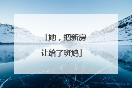 她，把新房让给了斑鸠