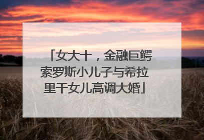 女大十，金融巨鳄索罗斯小儿子与希拉里干女儿高调大婚