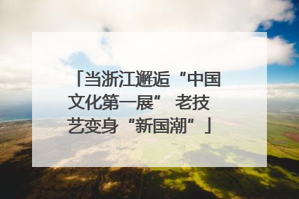 当浙江邂逅“中国文化第一展” 老技艺变身“新国潮”