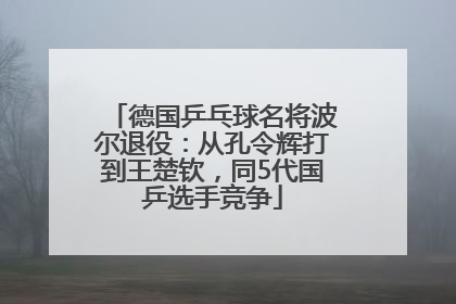 德国乒乓球名将波尔退役：从孔令辉打到王楚钦，同5代国乒选手竞争