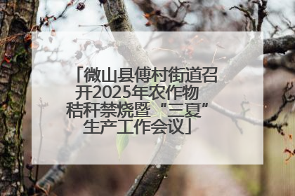 微山县傅村街道召开2025年农作物秸秆禁烧暨“三夏”生产工作会议