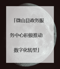 微山县政务服务中心积极推动数字化转型