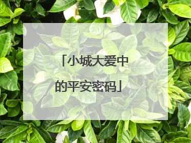 小城大爱中的平安密码