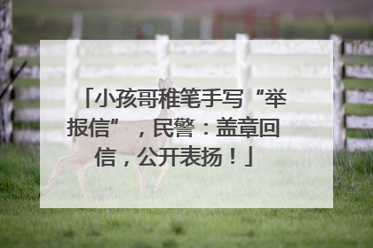 小孩哥稚笔手写“举报信”，民警：盖章回信，公开表扬！