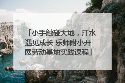 小手触碰大地，汗水遇见成长 乐师附小开展劳动基地实践课程