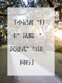 小记者“打卡”法院 “沉浸式”与法同行