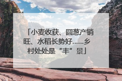小麦收获、圆葱产销旺、水稻长势好……乡村处处是“丰”景