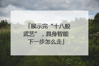 展示完“十八般武艺”，具身智能下一步怎么走