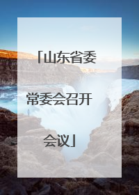 山东省委常委会召开会议