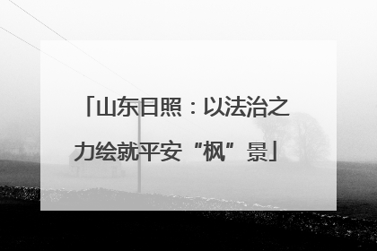 山东日照：以法治之力绘就平安“枫”景