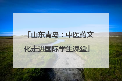 山东青岛：中医药文化走进国际学生课堂