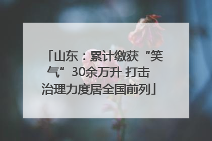 山东：累计缴获“笑气”30余万升 打击治理力度居全国前列