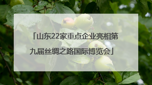 山东22家重点企业亮相第九届丝绸之路国际博览会