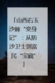 山西右玉沙棘“变身记”：从防沙卫士到富民“宝藏”