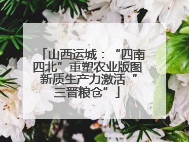 山西运城：“四南四北”重塑农业版图 新质生产力激活“三晋粮仓”