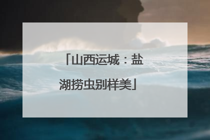 山西运城：盐湖捞虫别样美
