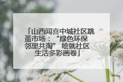 山西闻喜中城社区跳蚤市场：“绿色环保 邻里共淘” 绘就社区生活多彩画卷