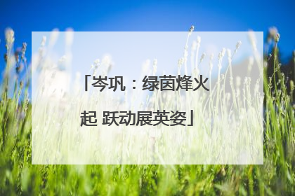 岑巩：绿茵烽火起 跃动展英姿