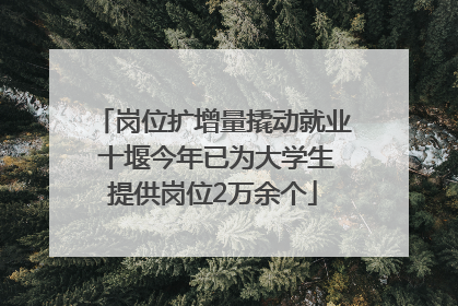 岗位扩增量撬动就业 十堰今年已为大学生提供岗位2万余个