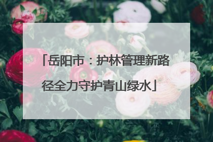 岳阳市：护林管理新路径全力守护青山绿水