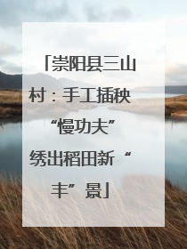 崇阳县三山村：手工插秧“慢功夫” 绣出稻田新“丰”景