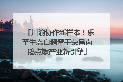 川渝协作新样本！乐至生态白鹅牵手荣昌卤鹅点燃产业新引擎